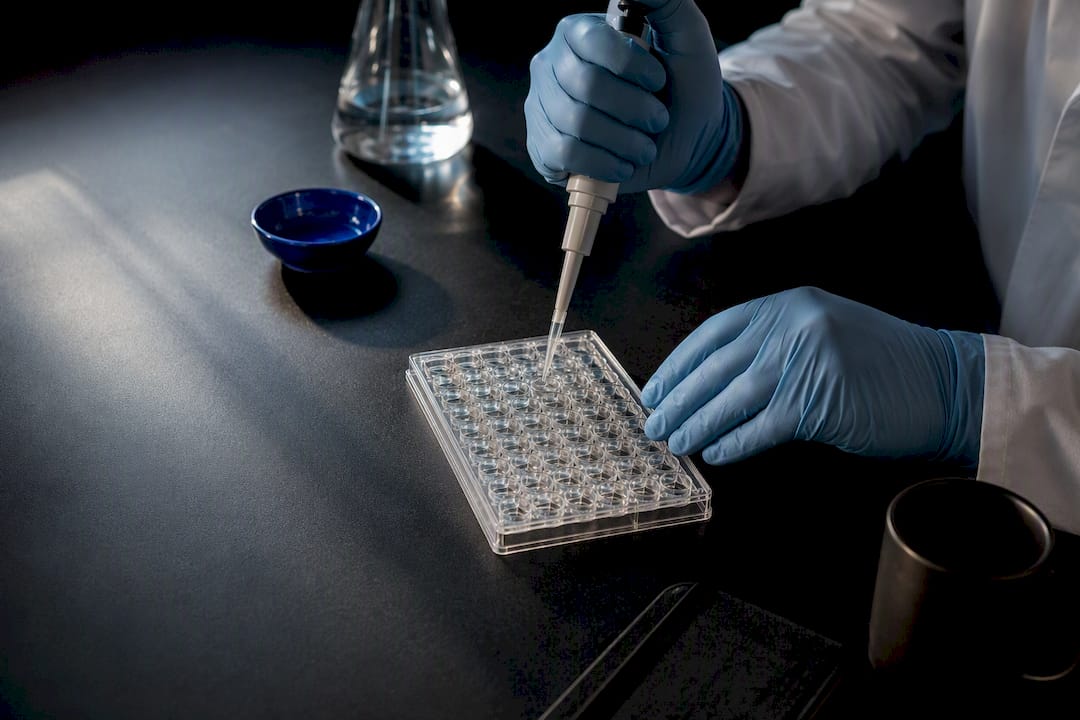 Laboratorietest der modellerer optagelse af næringsstoffer
